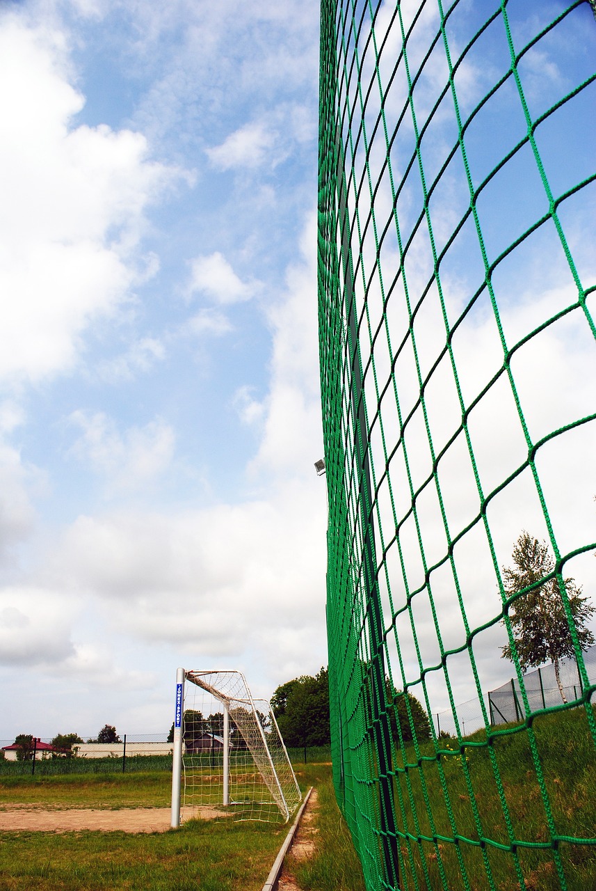 步与战术执 步与战术执